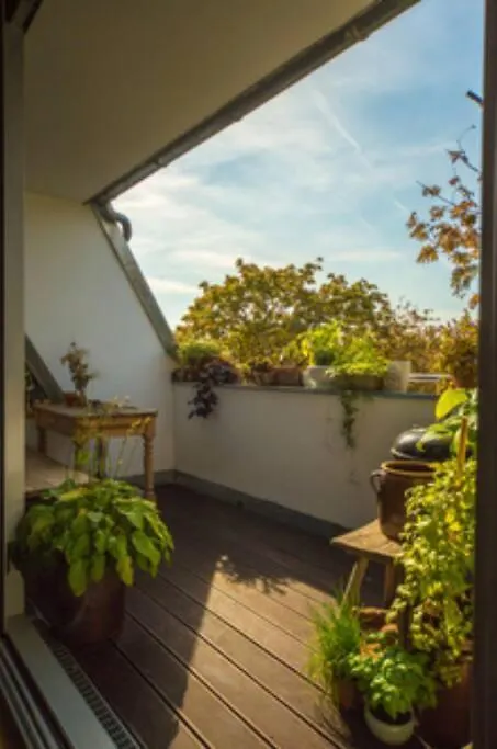 Auf Der Sonnenseite In Berlin Apartment 0*,  Germany